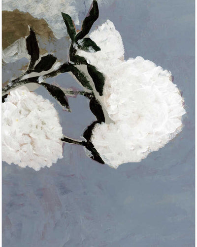 Soft White Blooms