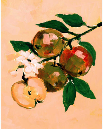Apple Branch Blossoms