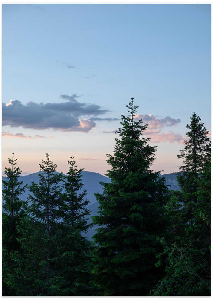Twilight Forest Peaks