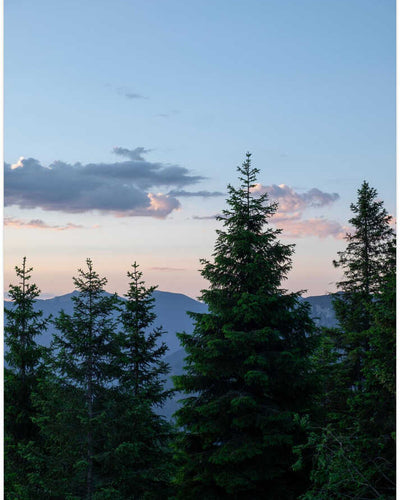 Twilight Forest Peaks