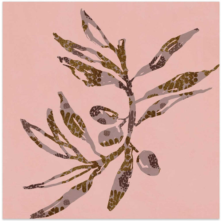 Softsesonno01