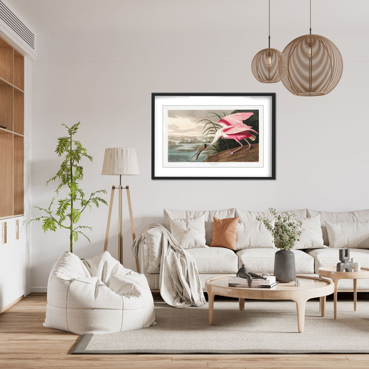 "Roseate Spoonbill From Birds of America (1827)" Framed Matted Print Wall Art