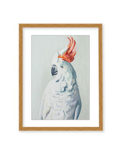 "White Cockadoo" Framed Matted Print Wall Art