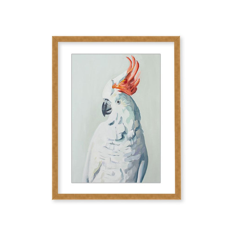 "White Cockadoo" Framed Matted Print Wall Art