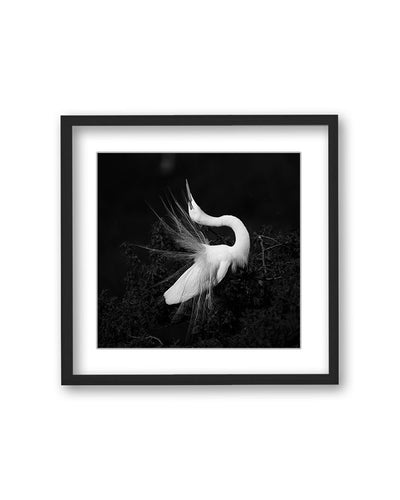 "After Love" Framed Matted Print  Wall Art