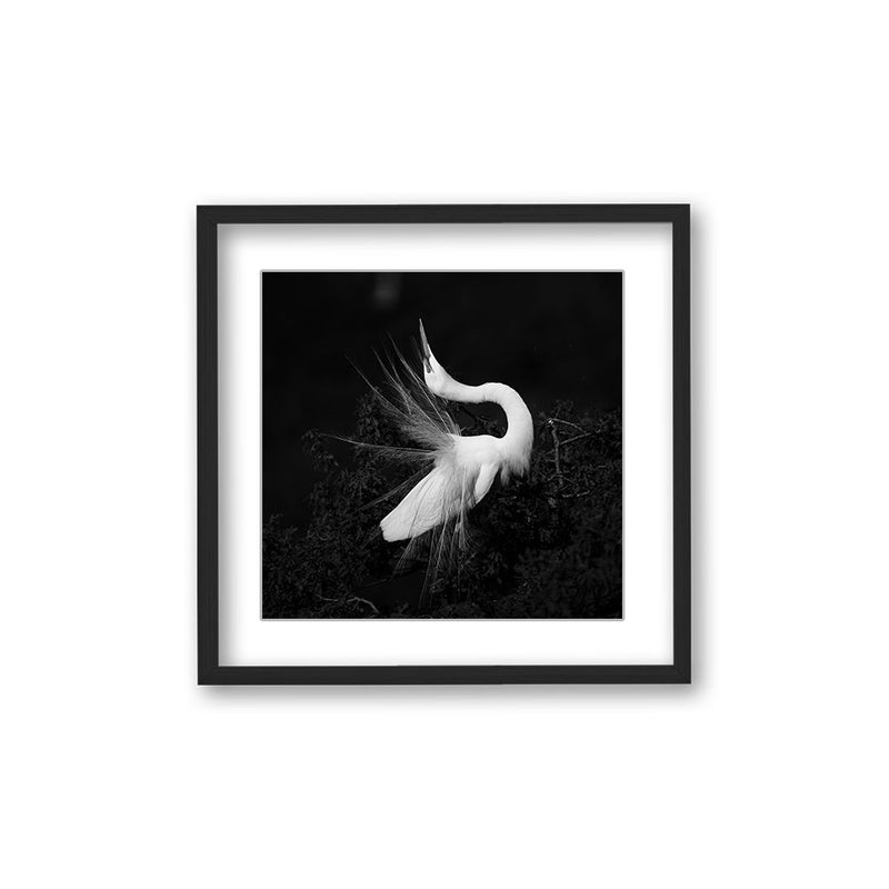 "After Love" Framed Matted Print  Wall Art