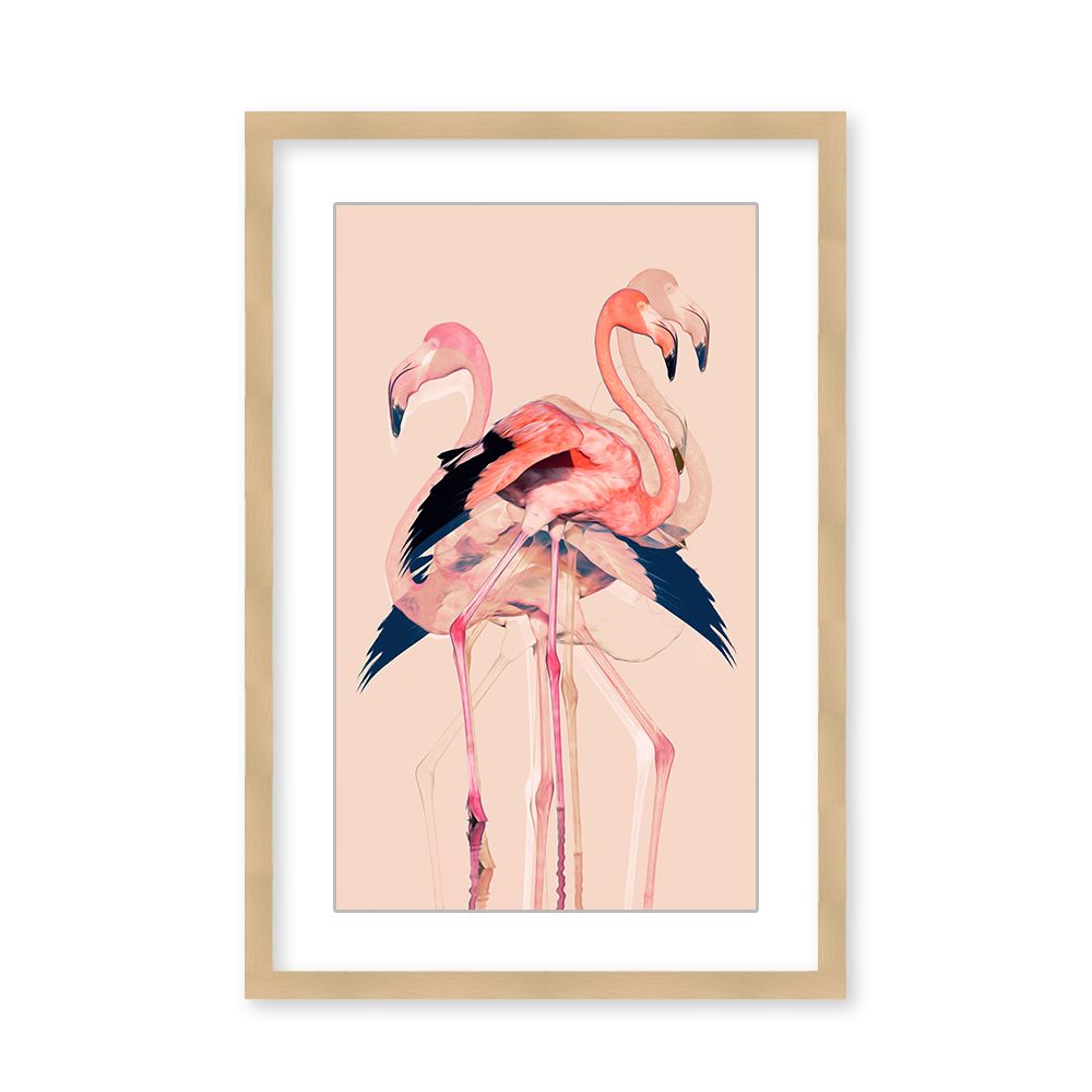 Open box Flamingo Flares: Layers of Abstraction Framed Matted Print Wall Art wall art