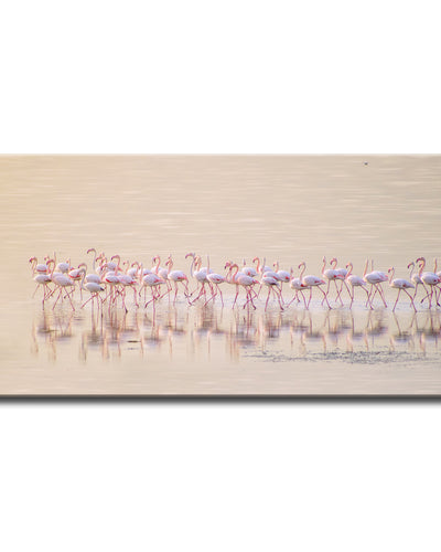 Marching Pinks' Wrapped Canvas Wall Art