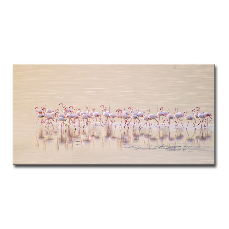Marching Pinks' Wrapped Canvas Wall Art
