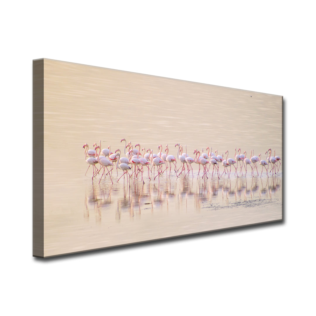 Marching Pinks' Wrapped Canvas Wall Art