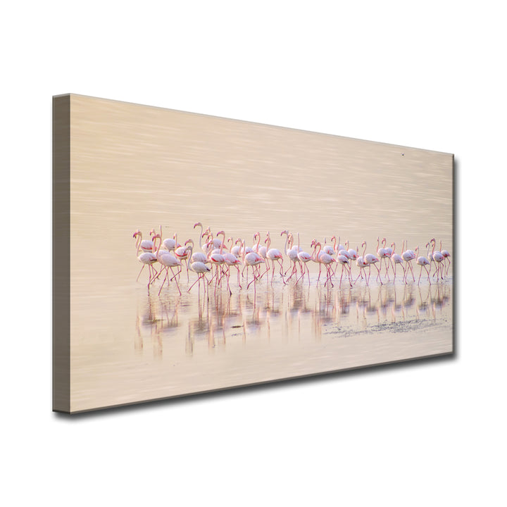 Marching Pinks' Wrapped Canvas Wall Art