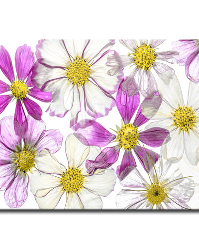 Keeping Summer' Wrapped Canvas Wall Art
