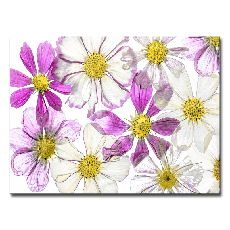 Keeping Summer' Wrapped Canvas Wall Art