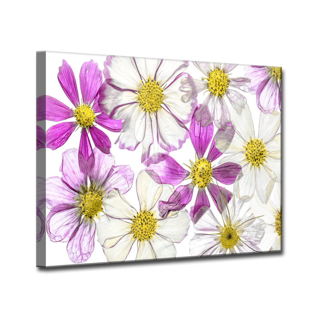 Keeping Summer' Wrapped Canvas Wall Art