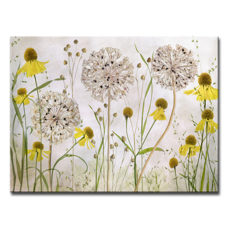 Alliums and Heleniums' Wrapped Canvas Wall Art