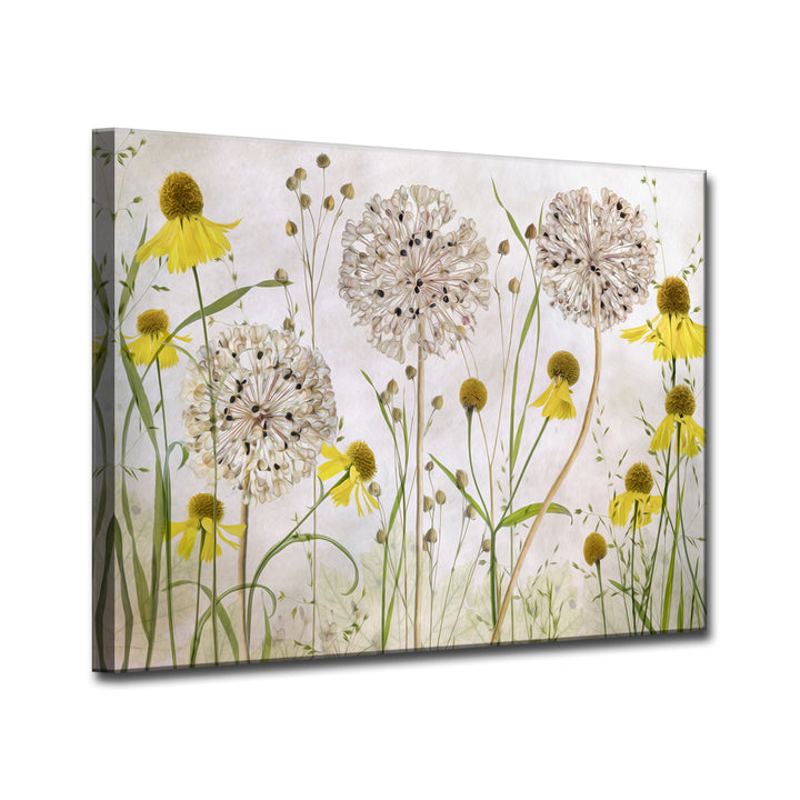 Alliums and Heleniums' Wrapped Canvas Wall Art