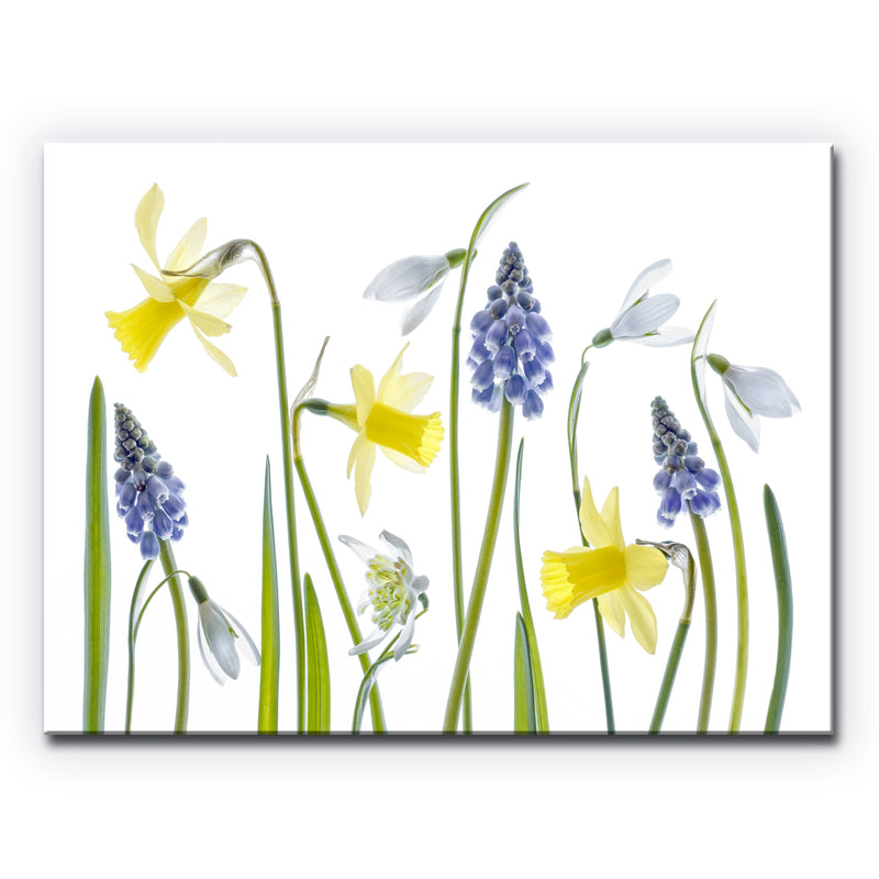 Spring' Wrapped Canvas Wall Art