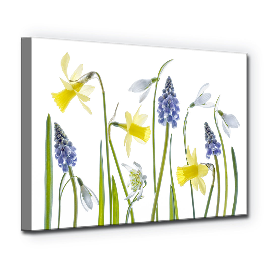 Spring' Wrapped Canvas Wall Art