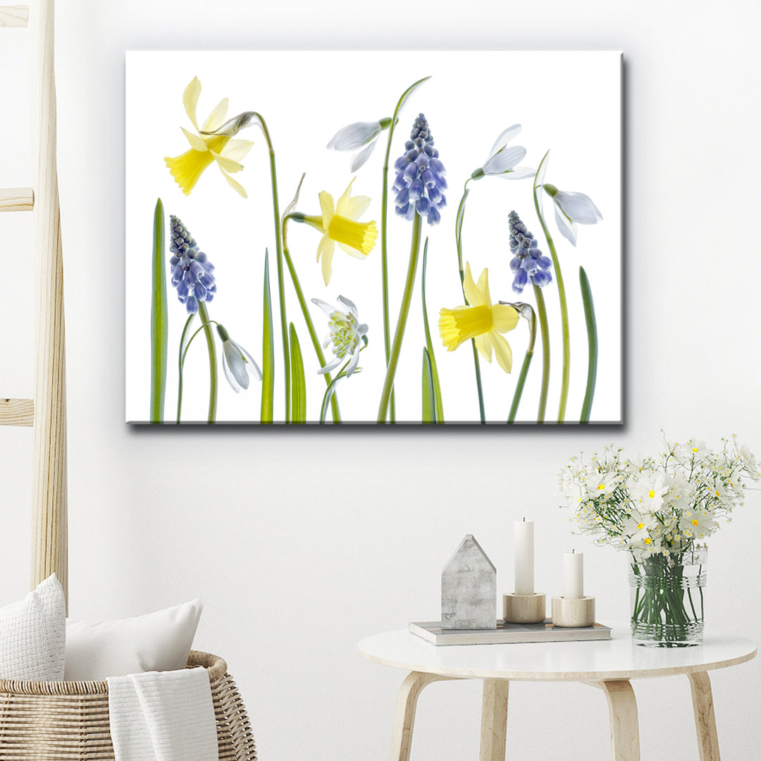 Spring' Wrapped Canvas Wall Art