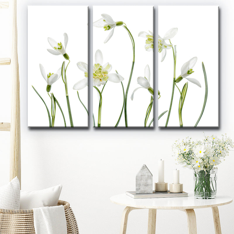 Spring Snowdrops' 3 Piece Wrapped Canvas Wall Art Set