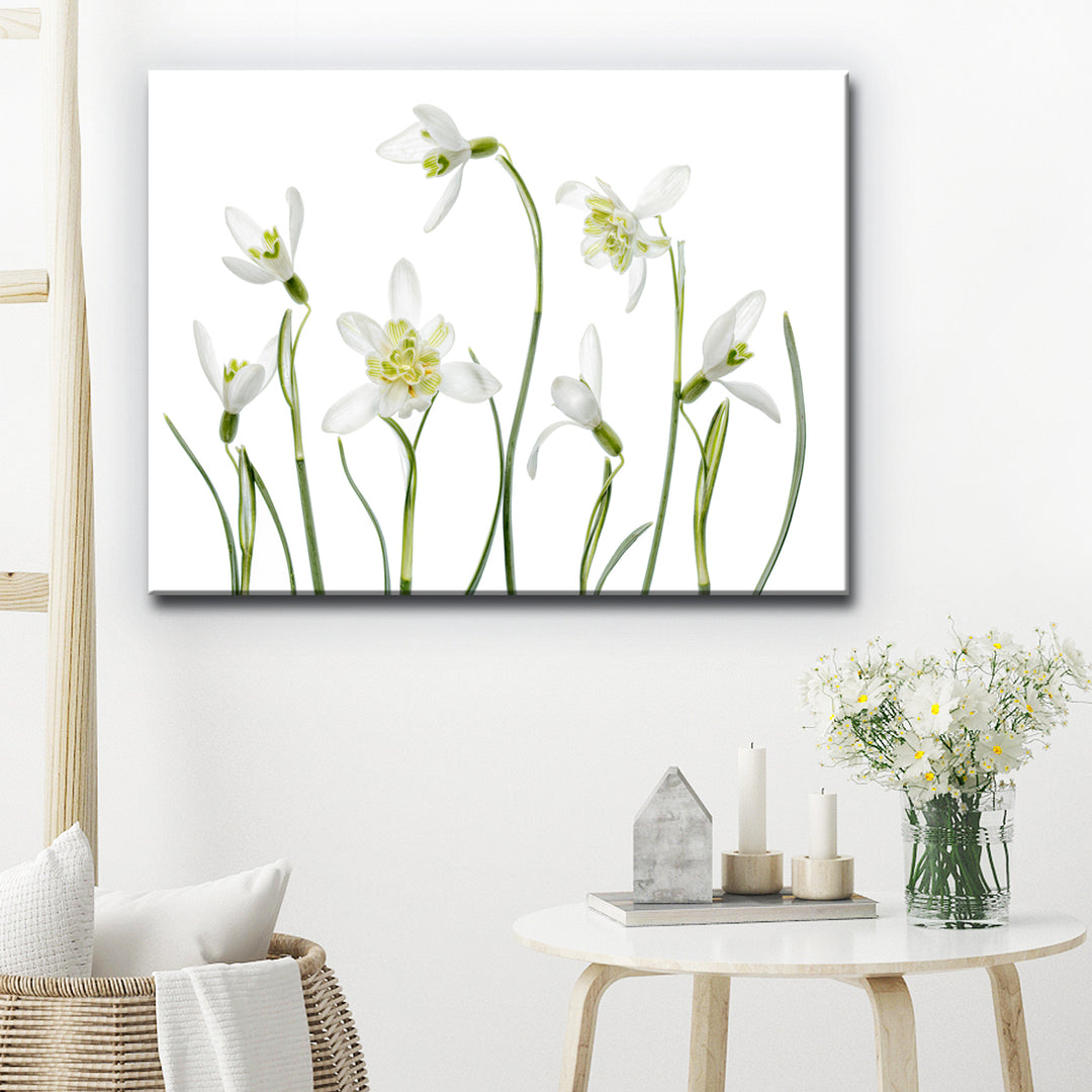 Spring Snowdrops' Wrapped Canvas Wall Art