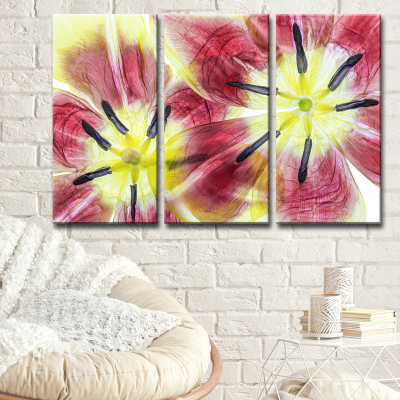 Tulips' 3 Piece Wrapped Canvas Wall Art Set