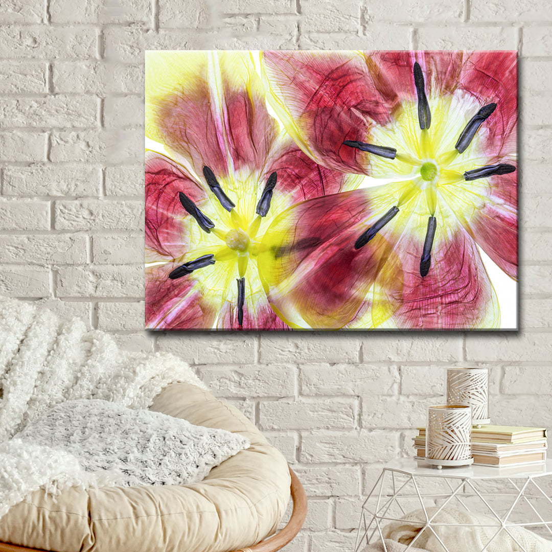 Tulips' Wrapped Canvas Wall Art