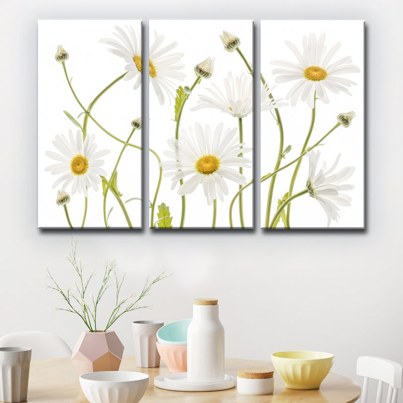 Ox Eye Daisies' 3 Piece Wrapped Canvas Wall Art Set