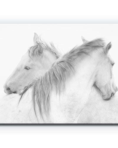 Horses' Wrapped Canvas Wall Art