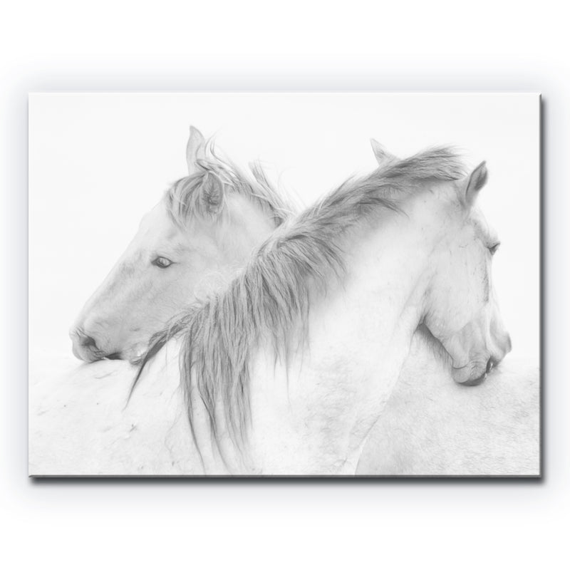 Horses' Wrapped Canvas Wall Art