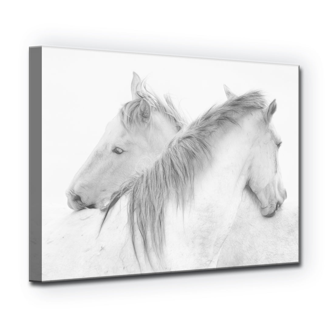 Horses' Wrapped Canvas Wall Art
