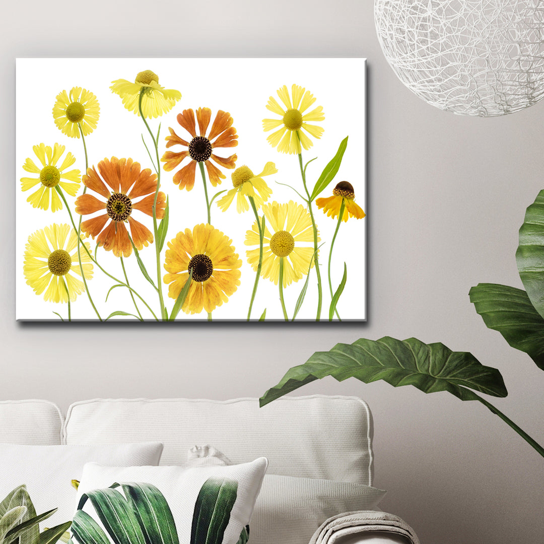 Helenium' Wrapped Canvas Wall Art