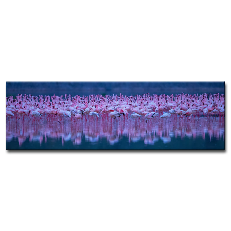 Flamingos' Wrapped Canvas Wall Art