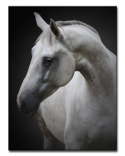 Maggie' Wrapped Canvas Wall Art