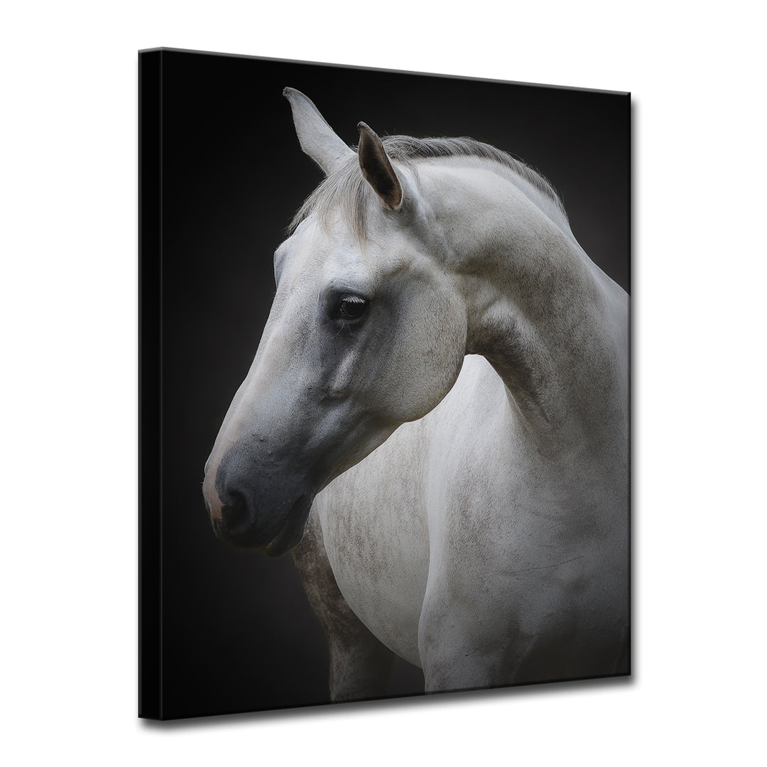 Maggie' Wrapped Canvas Wall Art