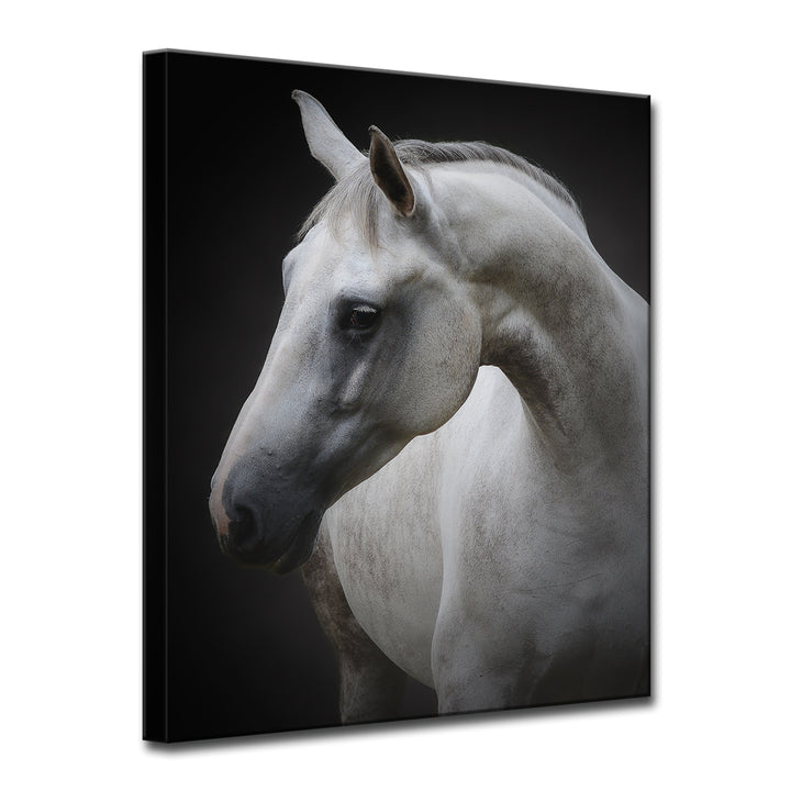Maggie' Wrapped Canvas Wall Art