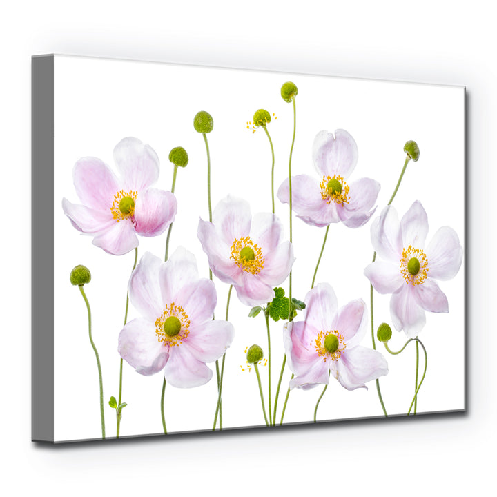 Japanese Anemones' Wrapped Canvas Wall Art