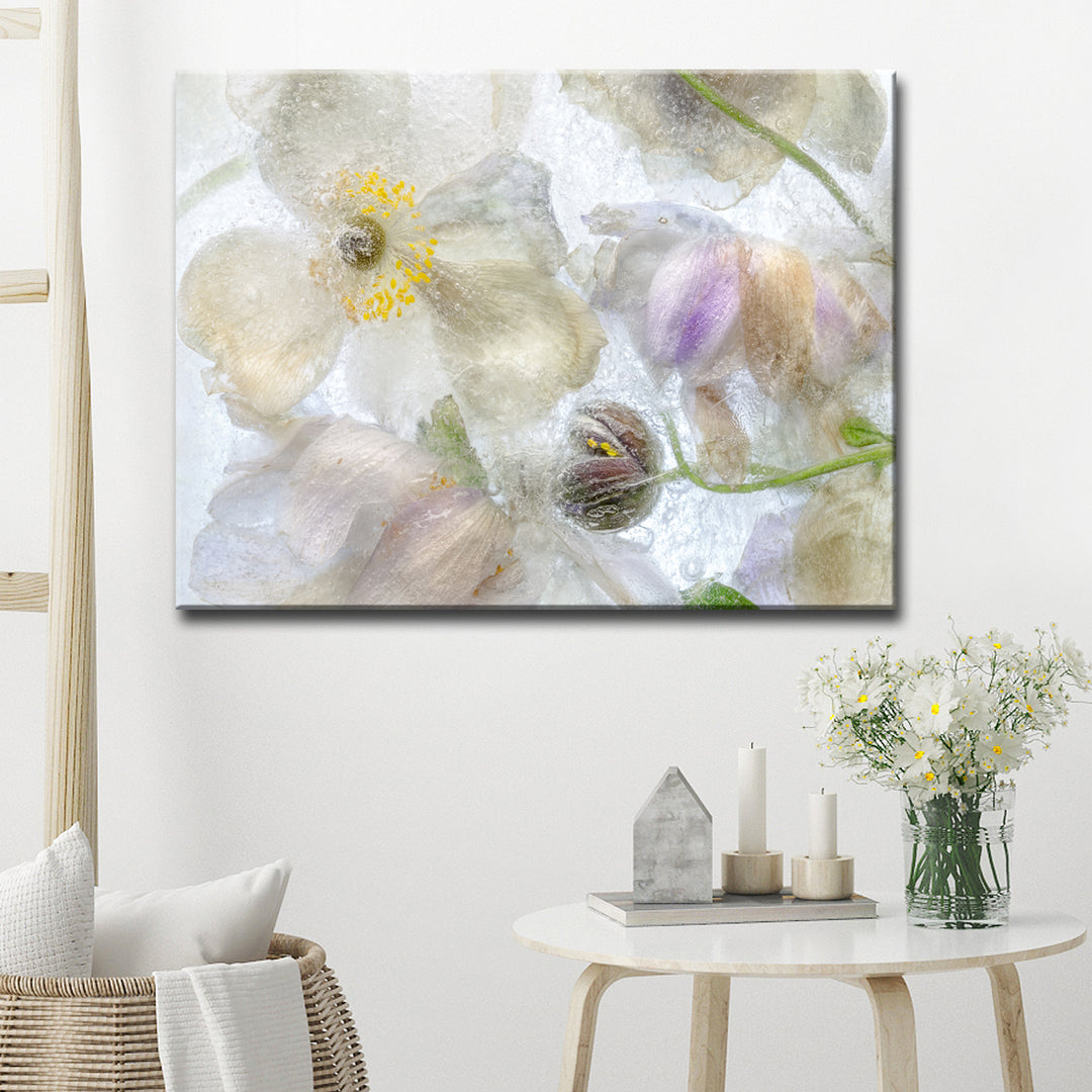 Anemone Frost' Wrapped Canvas Wall Art