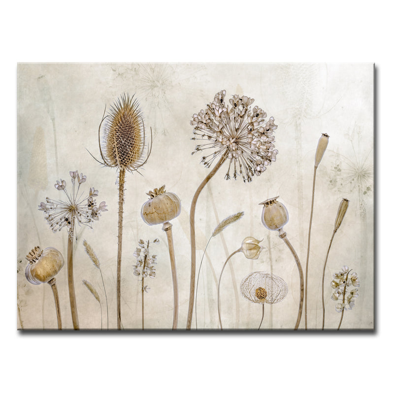 Growing Old' Wrapped Canvas Wall Art
