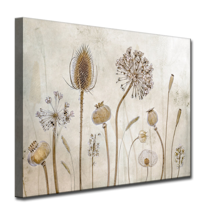 Growing Old' Wrapped Canvas Wall Art