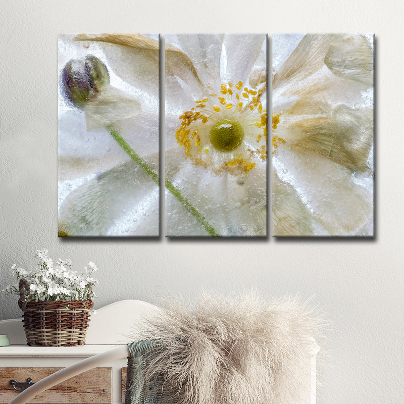 Floral Freeze' 3 Piece Wrapped Canvas Wall Art Set