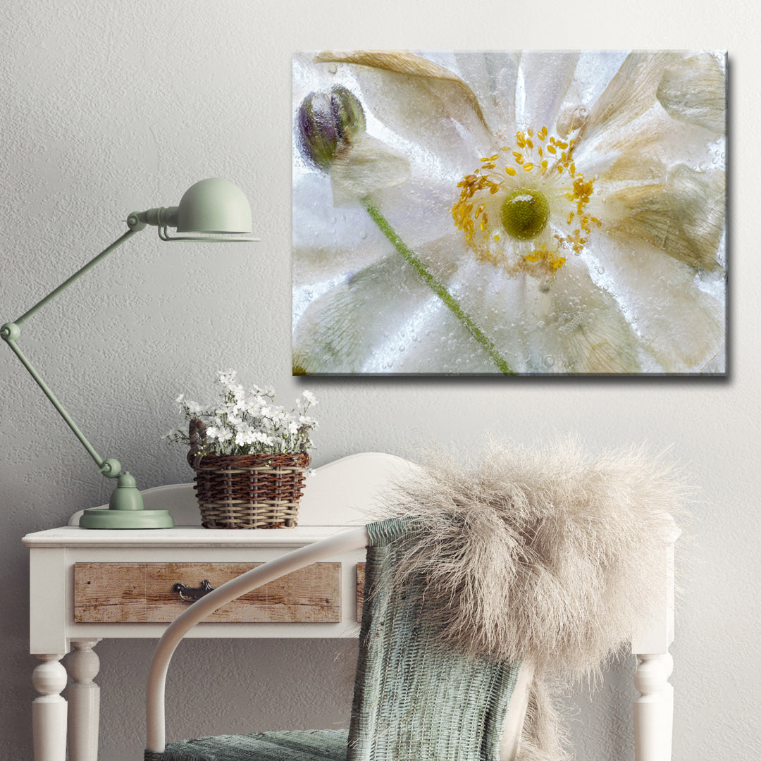 Floral Freeze' Wrapped Canvas Wall Art