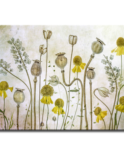 Poppies and Helenium' Wrapped Canvas Wall Art