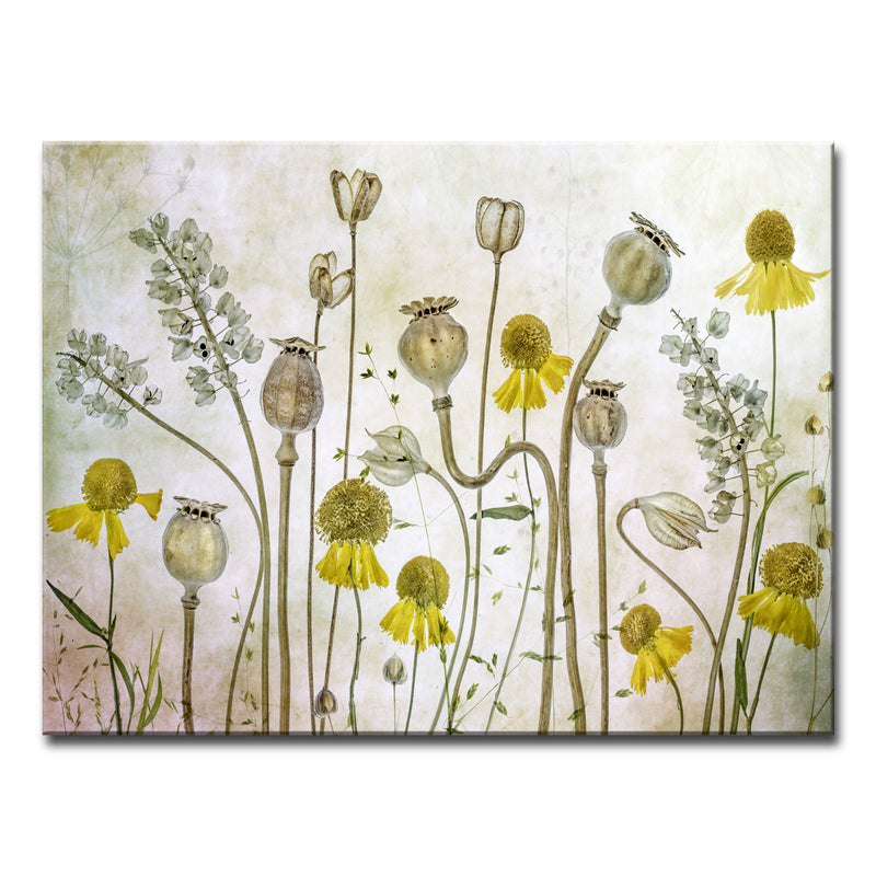 Poppies and Helenium' Wrapped Canvas Wall Art