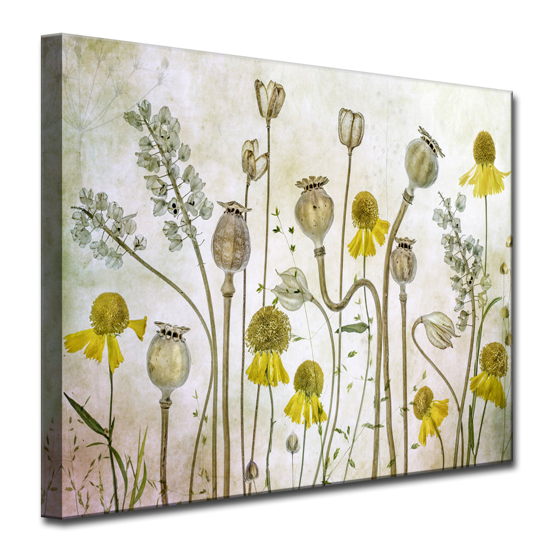 Poppies and Helenium' Wrapped Canvas Wall Art