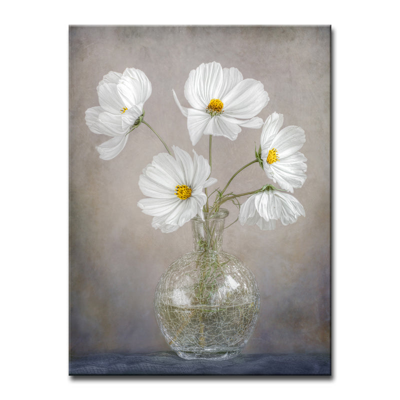 Simply Cosmos' Wrapped Canvas Wall Art