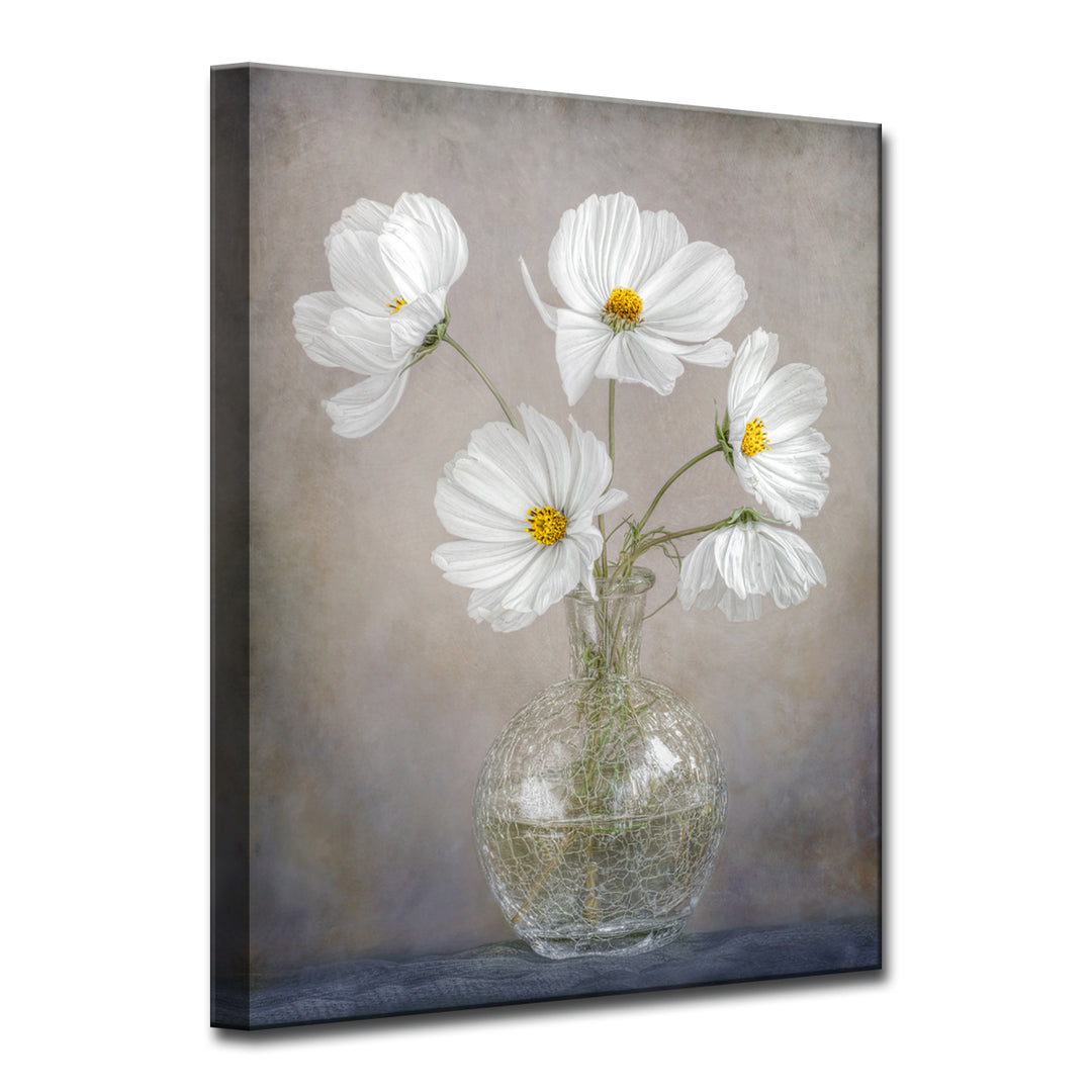 Simply Cosmos' Wrapped Canvas Wall Art