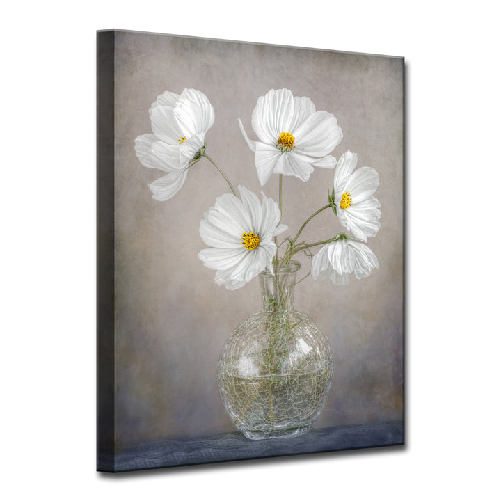 Simply Cosmos' Wrapped Canvas Wall Art
