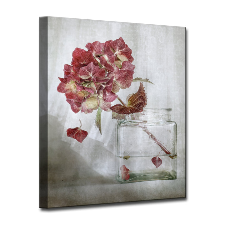 Hydrangea' Wrapped Canvas Wall Art