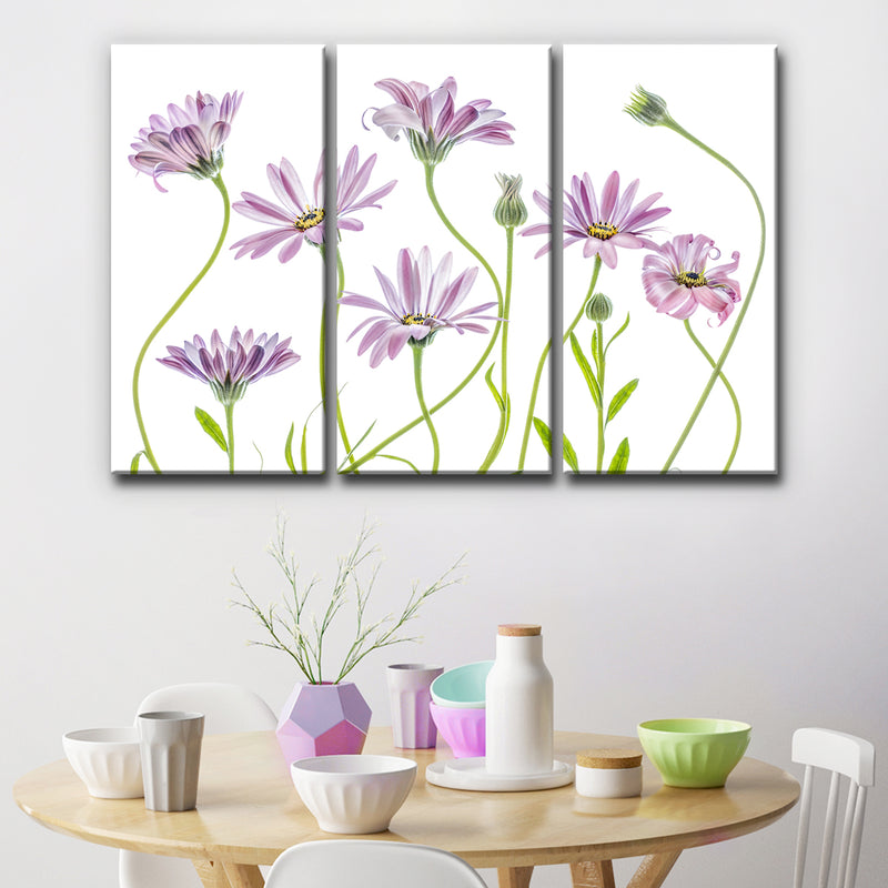 Cape Daisies I' 3 Piece Wrapped Canvas Wall Art Set